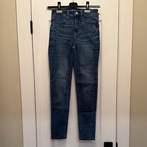 American Eagle Outfitters Next Level Stretch Denim Hi-Rise Jegging (Regular)